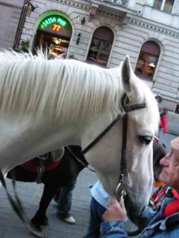 kliknij aby powiększyć